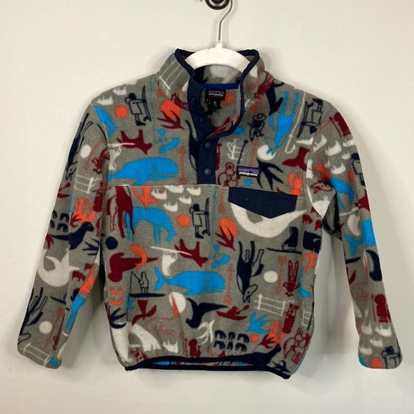 Patagonia Synchilla pullover